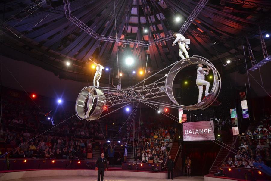 International Circus Festival, 7 - 11 January 2016