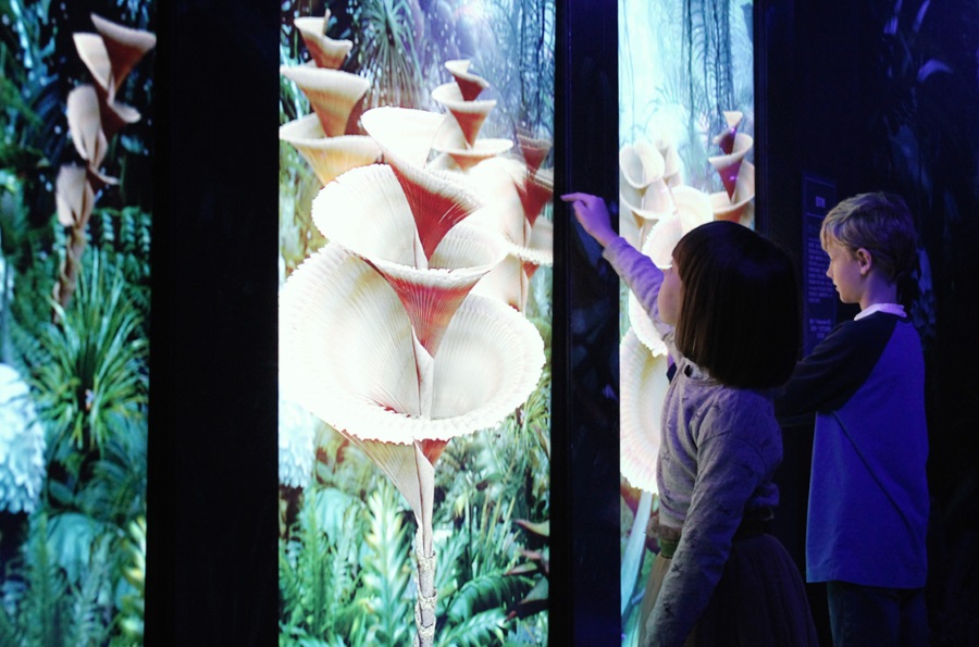 'Avatar – Discover Pandora' Exhibition In Budapest