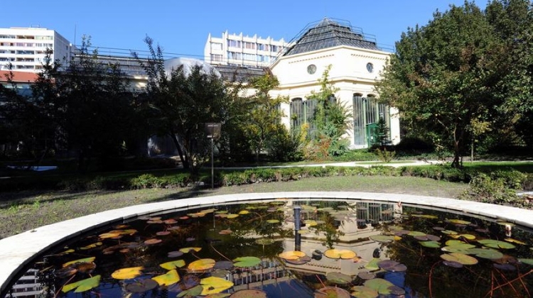 Xplore Budapest: Füvészkert - Botanical Garden of ELTE
