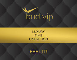 bud:vip - Personal Airport Service