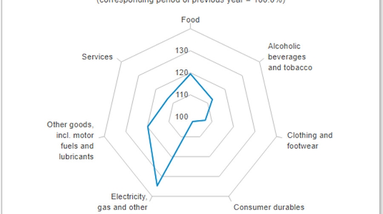 Latest Consumer Price Index Insights Revealed, Inflation in Hungary at 16.4%