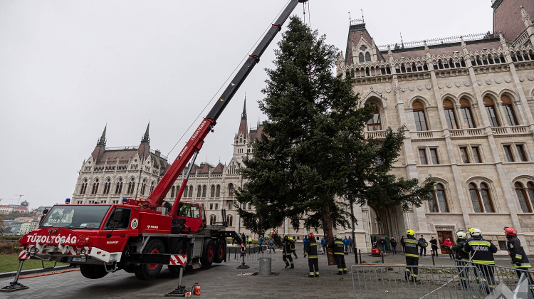 Watch: Hungary's National Christmas Tree Put Up in Budapest