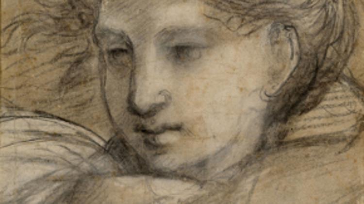 Triumph Of Perfection - Raphael, Fine Arts Museum
