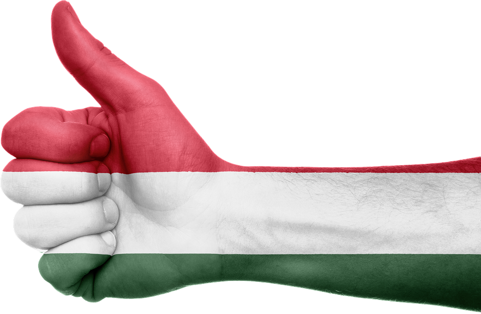 Hungarians Among 10 Most Patriotic Nations In EU